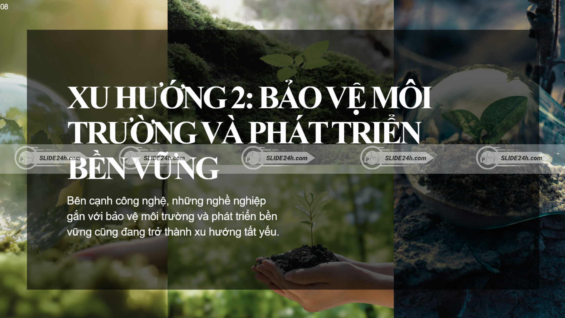 Nghề môi trường