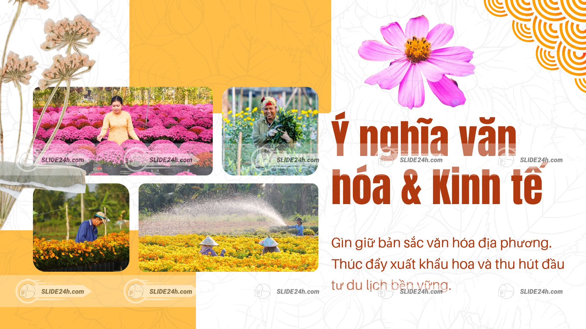 người dân chăm sóc và thu hoạch hoa tại đà lạt thể hiện giá trị kinh tế và văn hóa
