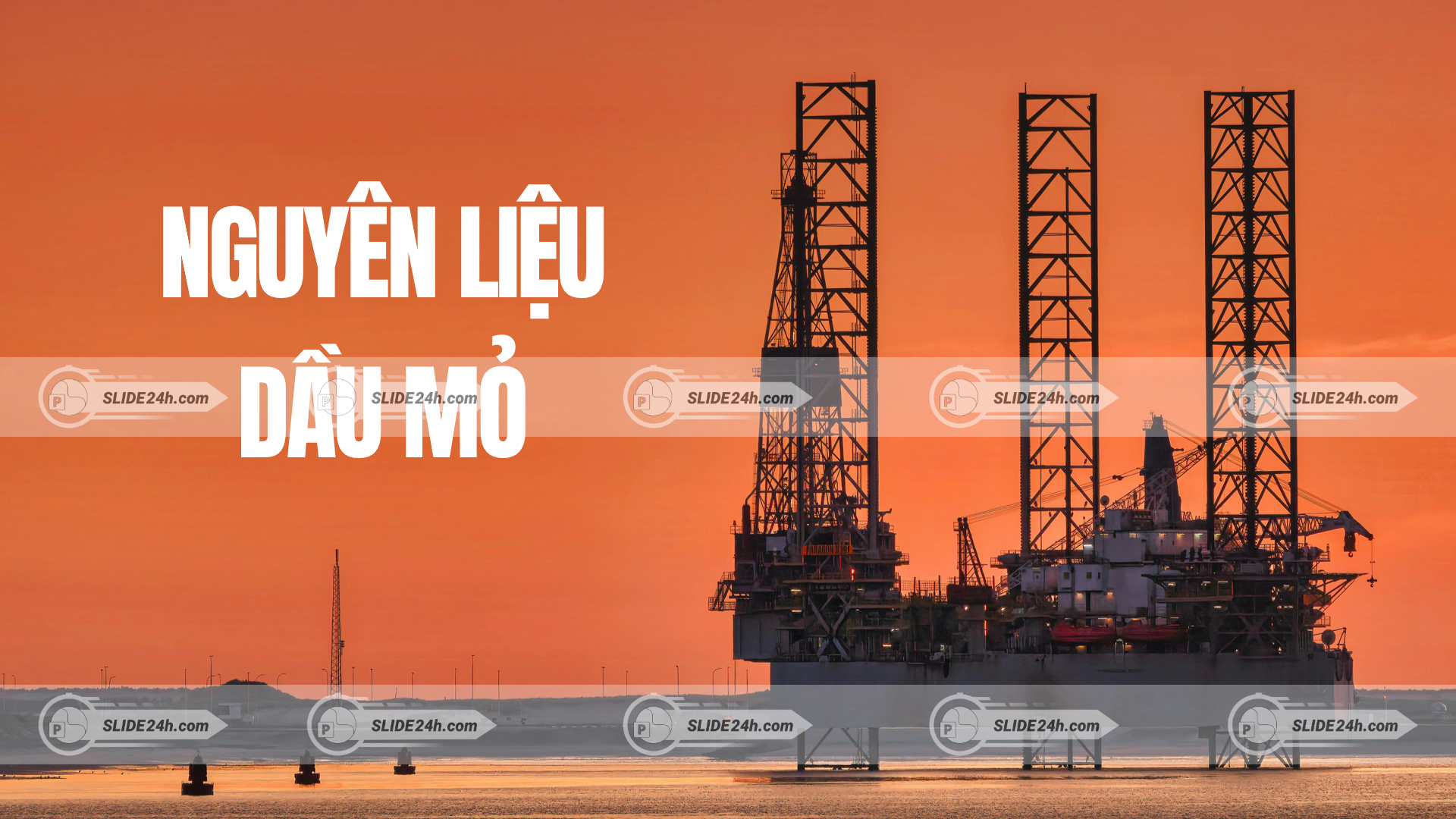 Nguyên liệu dầu mỏ và năng lượng hóa thạch.