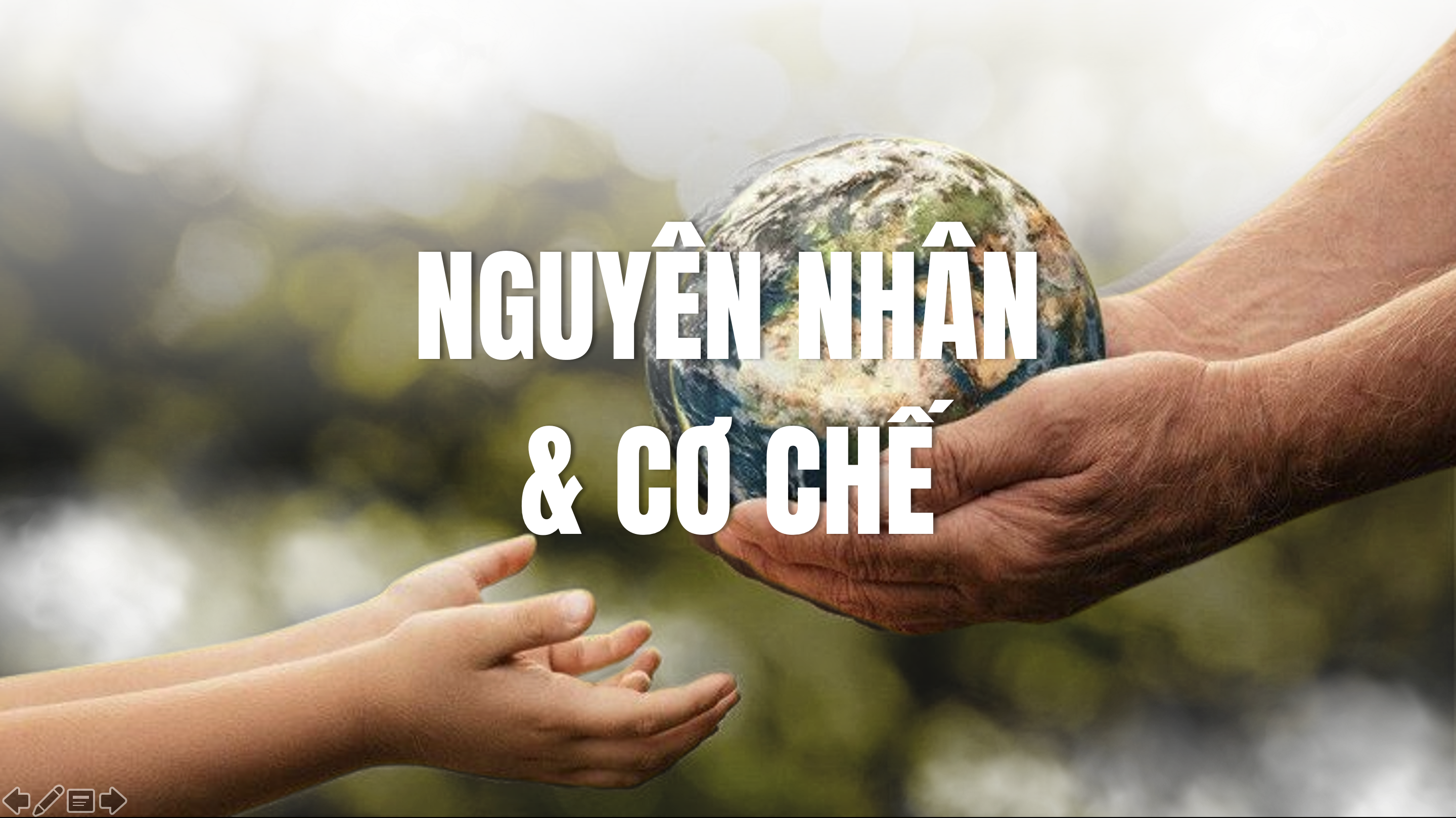 nguyên nhân cơ chế biến đổi khí hậu khí nhà kính hoạt động con người