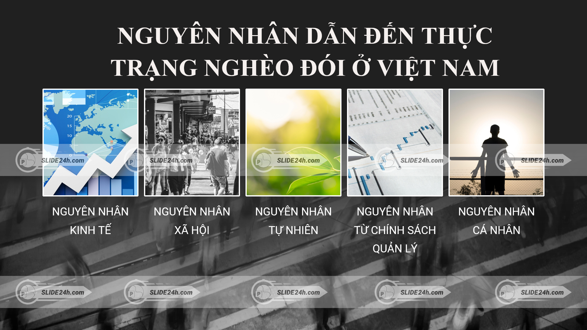 nguyên nhân dẫn đến nghèo đói ở việt nam gồm kinh tế xã hội tự nhiên chính sách quản lý và yếu tố cá nhân