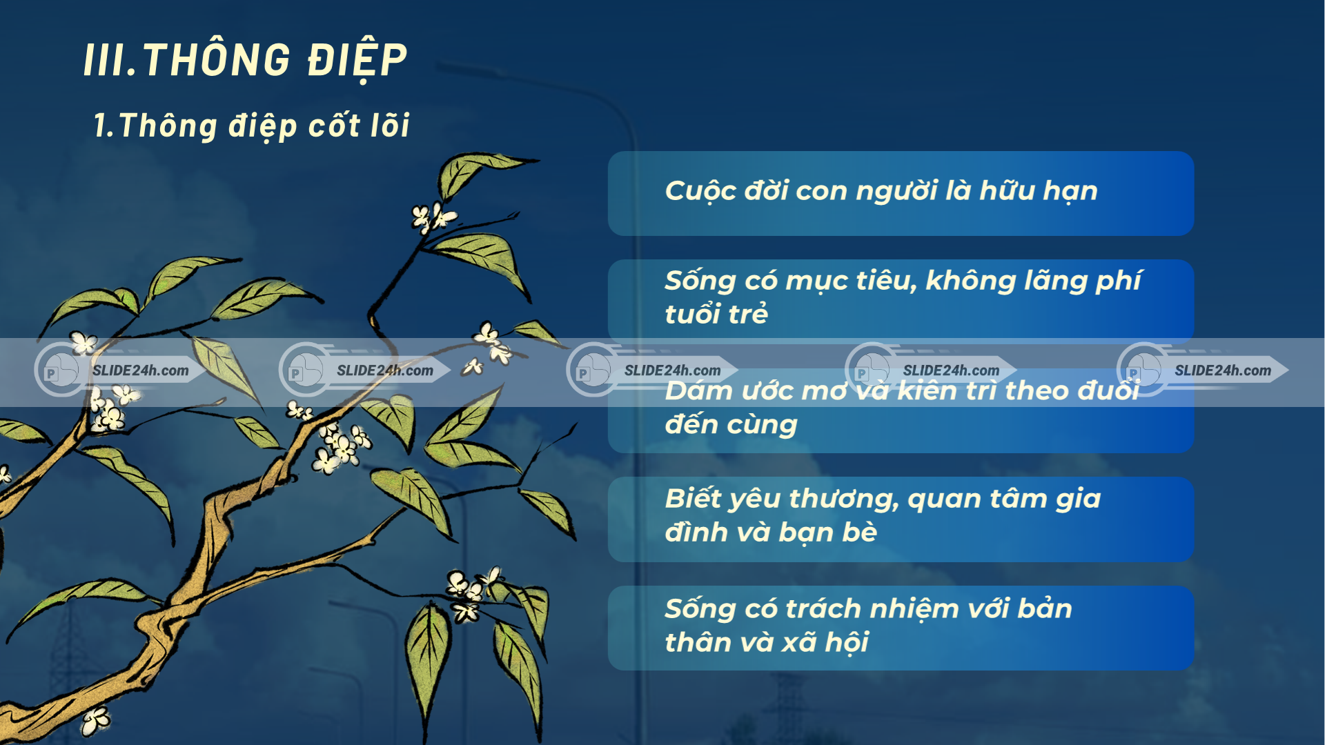 Những thông điệp chính của Biết Trăm Năm Là Hữu Hạn về cuộc đời hữu hạn, ước mơ, trách nhiệm.