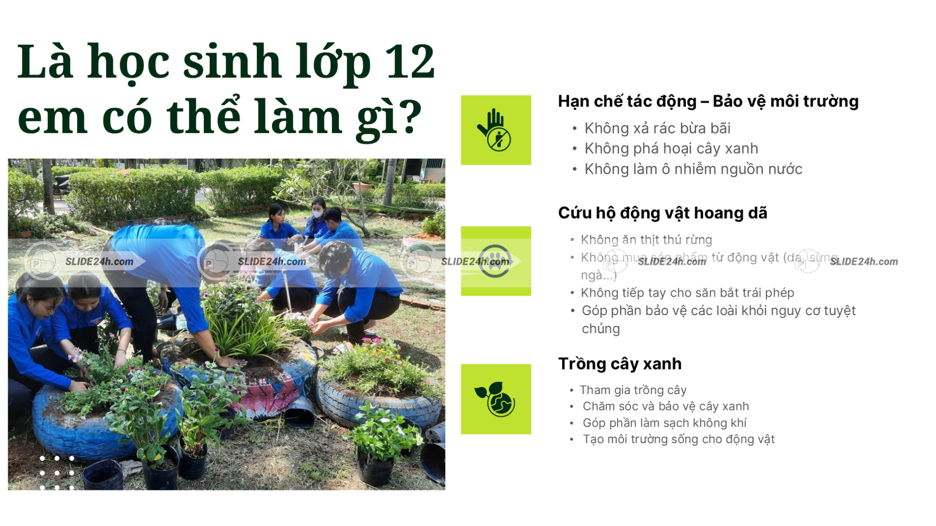 Những việc học sinh lớp 12 có thể làm để bảo vệ môi trường.