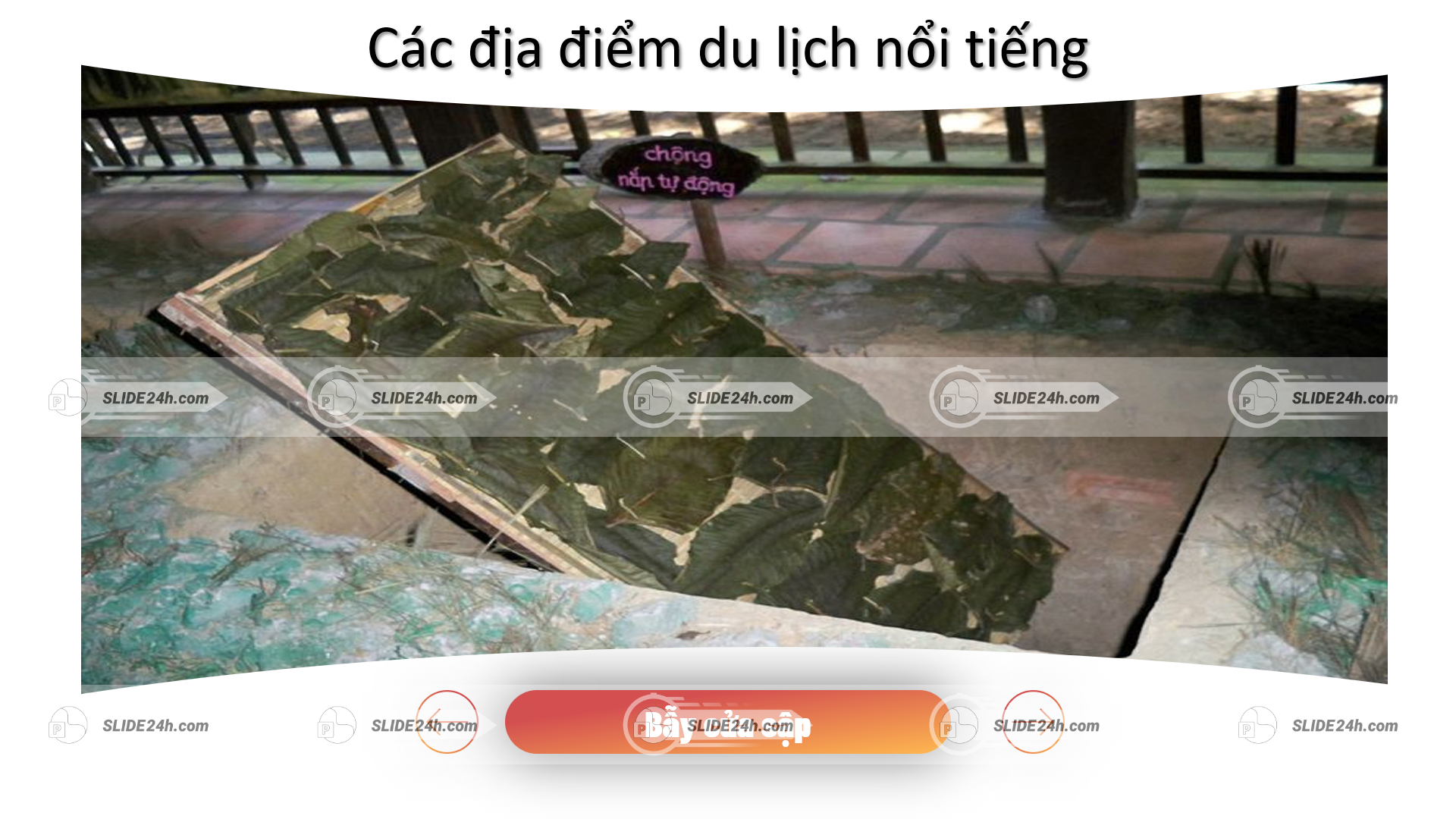 ối vào địa đạo củ chi được ngụy trang bằng lá cây kín đáo giúp tránh phát hiện và là điểm tham quan du lịch nổi tiếng