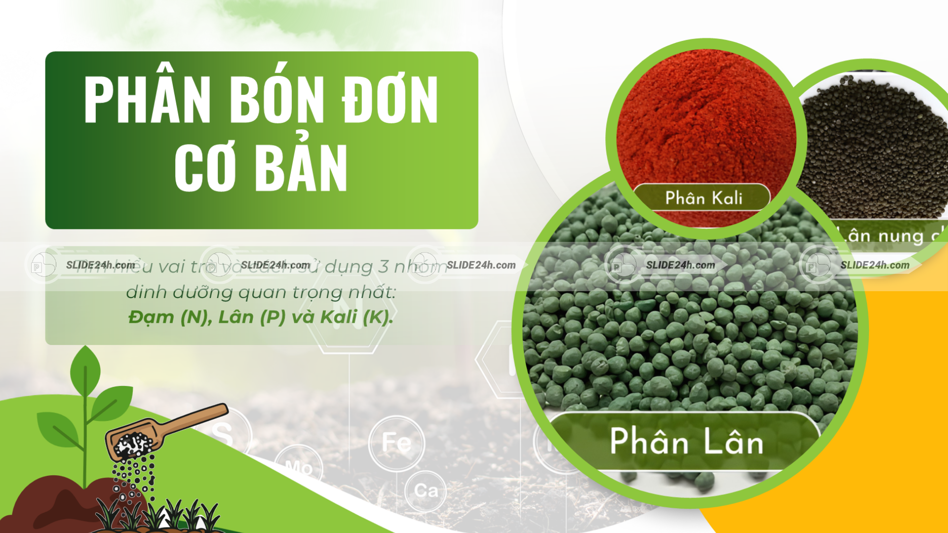 Phân bón đơn cơ bản gồm phân Đạm, phân Lân và phân Kali trong chăm sóc cây trồng.