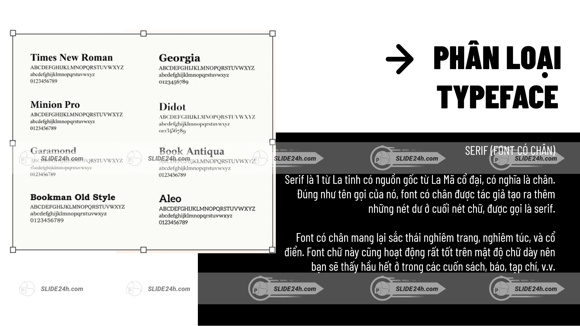 phân loại typeface serif font có chân trong thiết kế chữ
