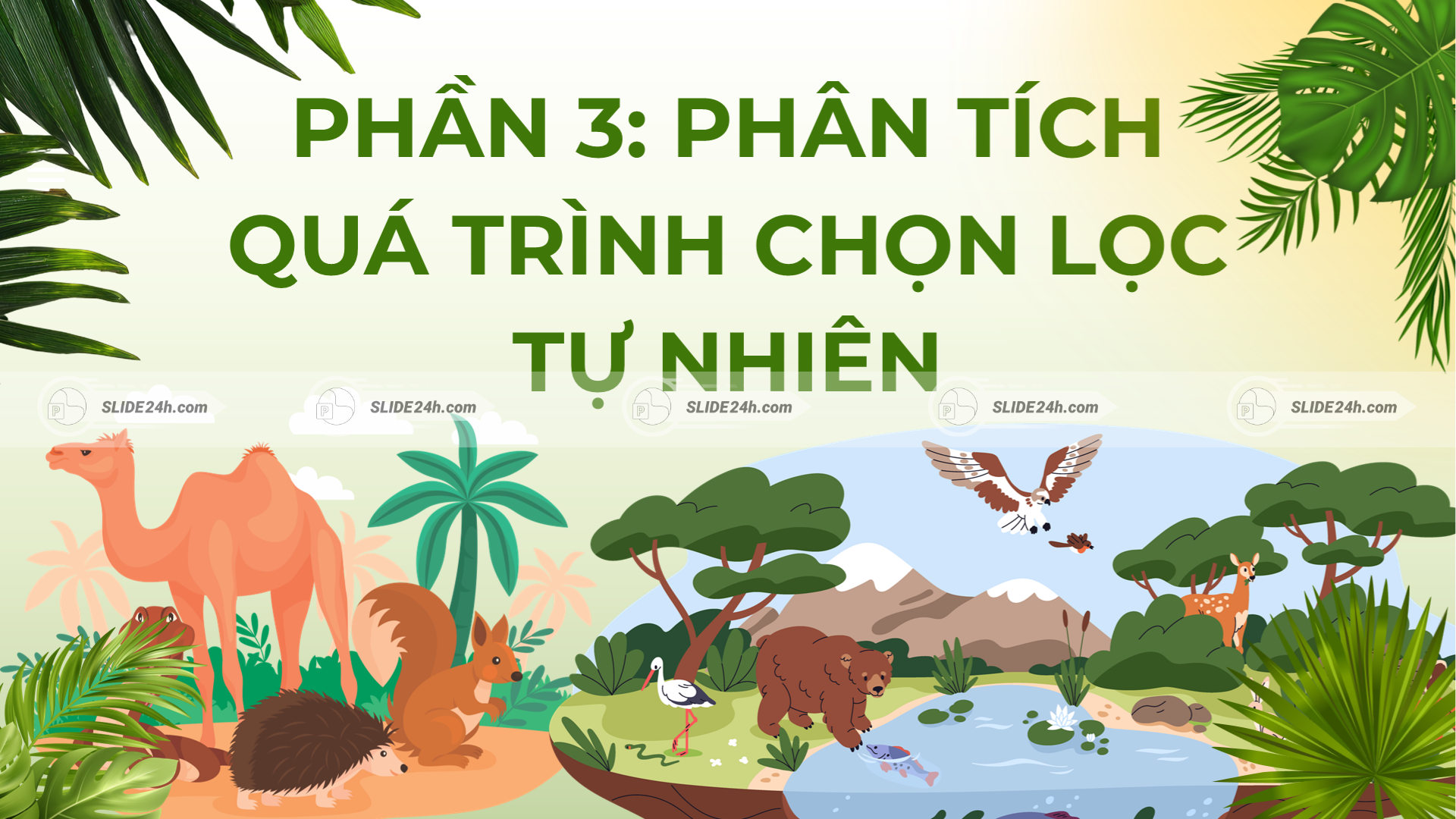 Quá trình chọn lọc tự nhiên diễn ra qua cạnh tranh sinh tồn, ngụy trang và sự sàng lọc của môi trường đối với sinh vật.