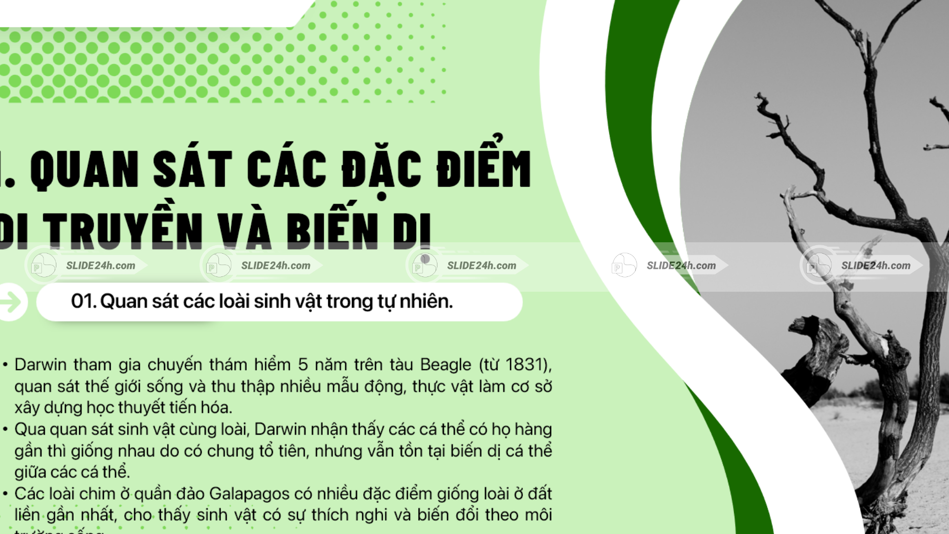 Quan sát đặc điểm di truyền và biến dị.