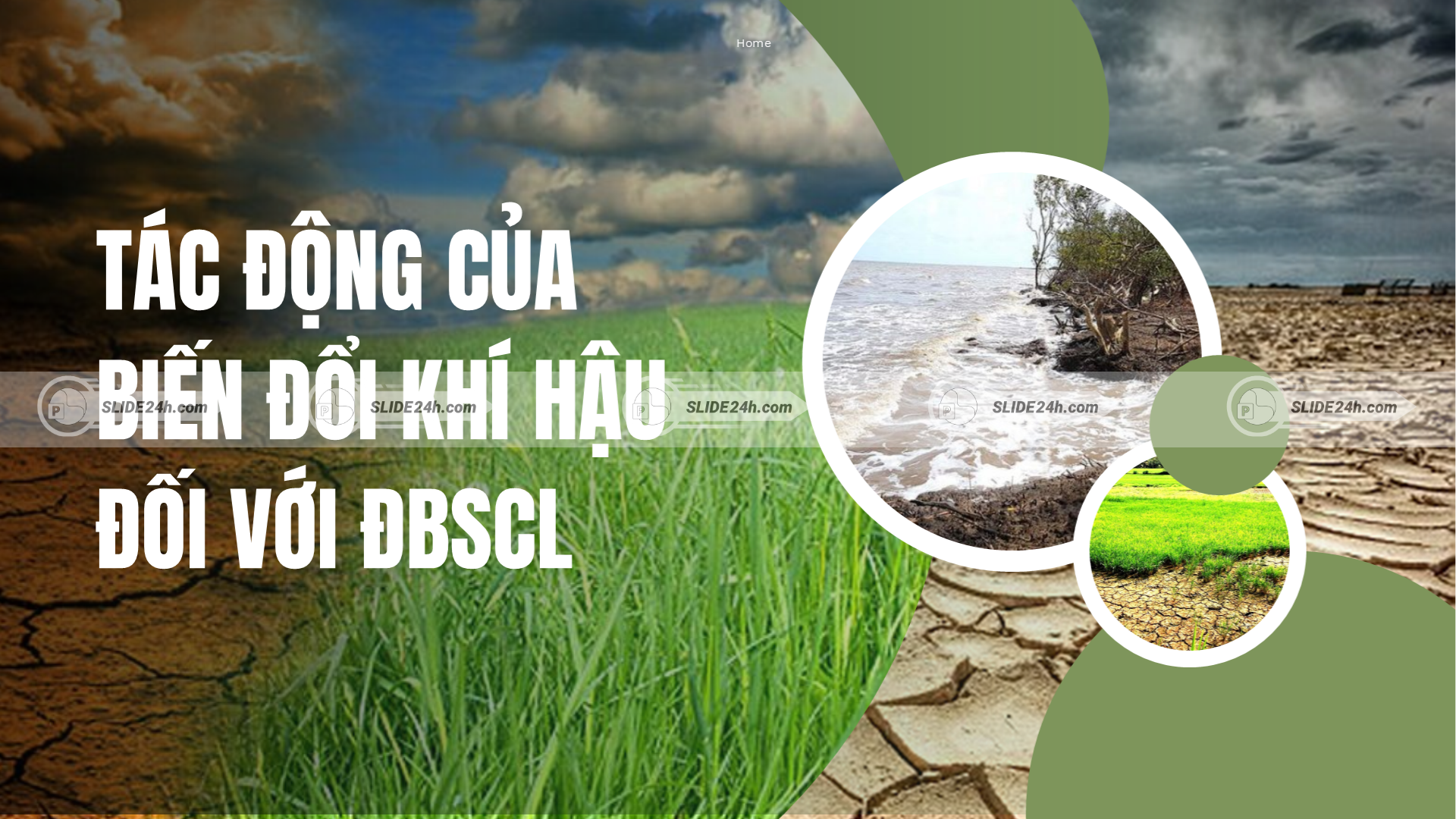Tác động chính của biến đổi khí hậu tại Đồng bằng sông Cửu Long.
