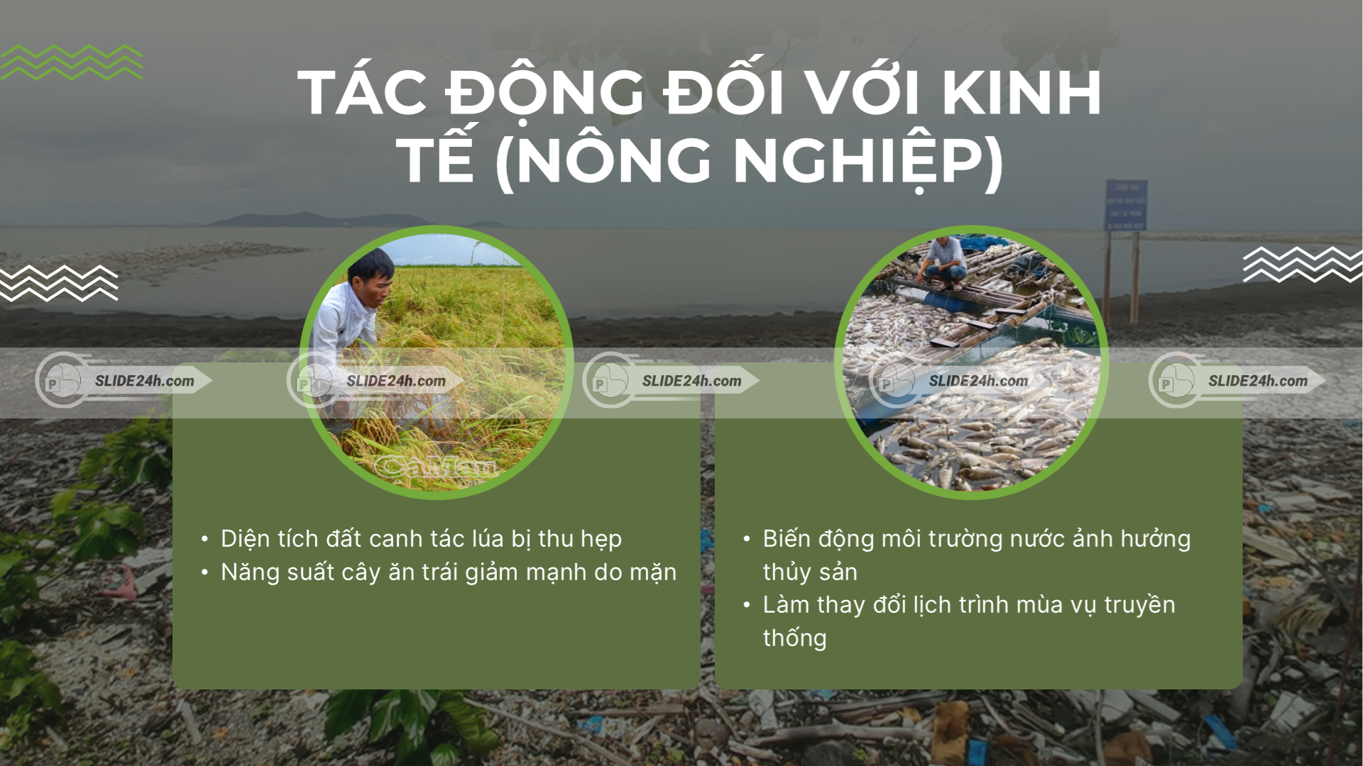 Tác động của biến đổi khí hậu đến kinh tế nông nghiệp.