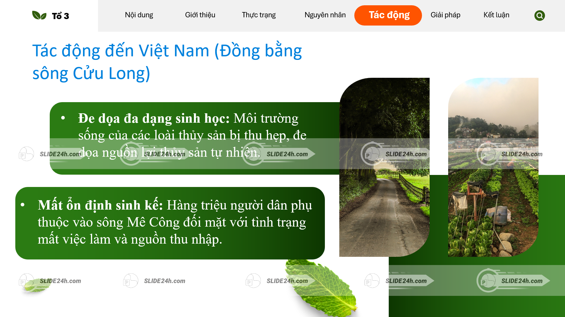 tác động của suy giảm nguồn nước sông mê công đến đồng bằng sông cửu long