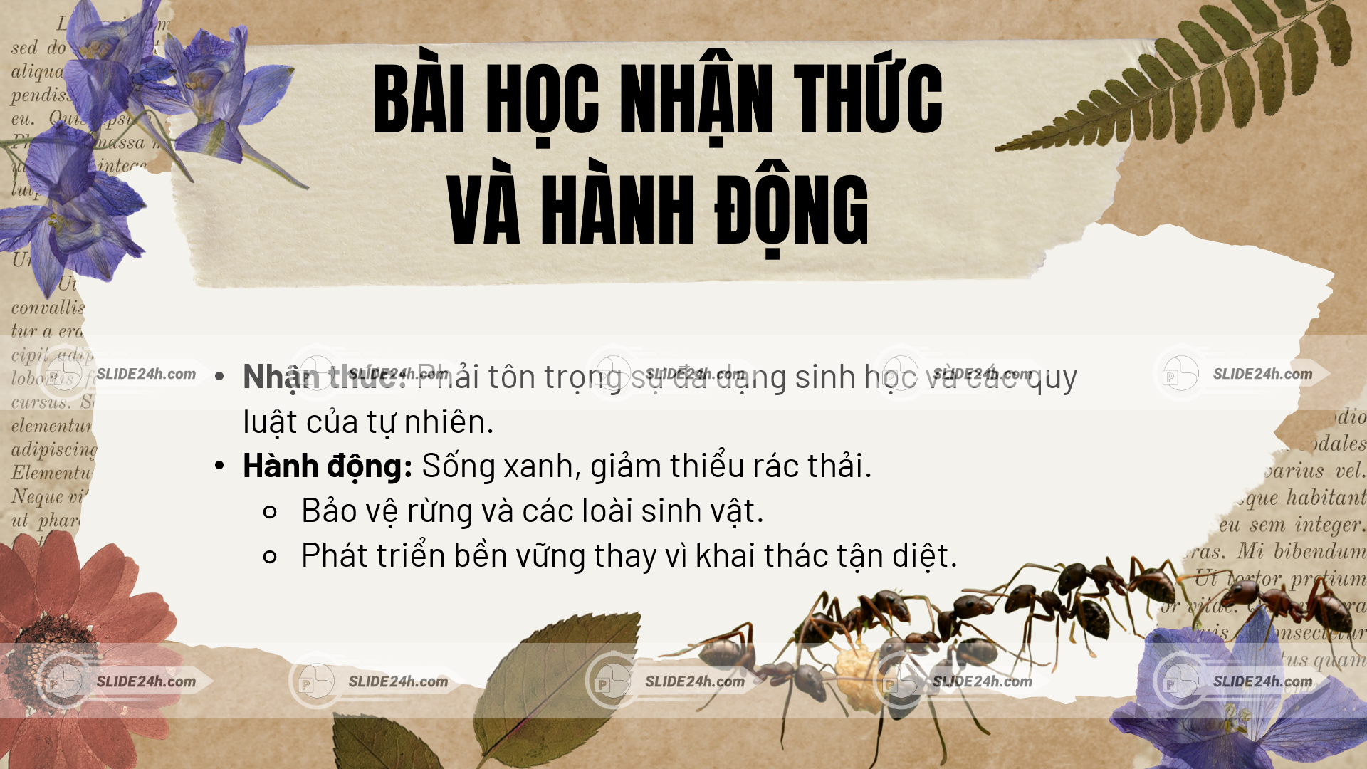 Tác phẩm Kiến và Người gửi gắm bài học về nhận thức đúng đắn và hành động có trách nhiệm với thiên nhiên.