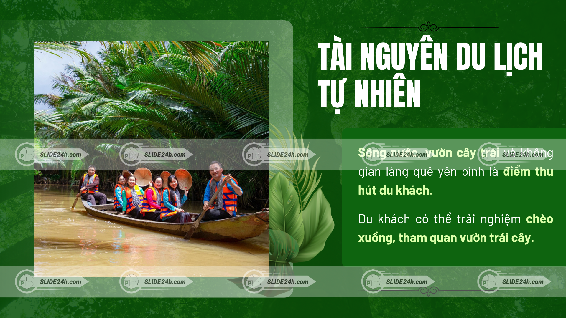 tài nguyên du lịch tự nhiên xã tân phú bến tre chèo xuồng tham quan vườn trái cây