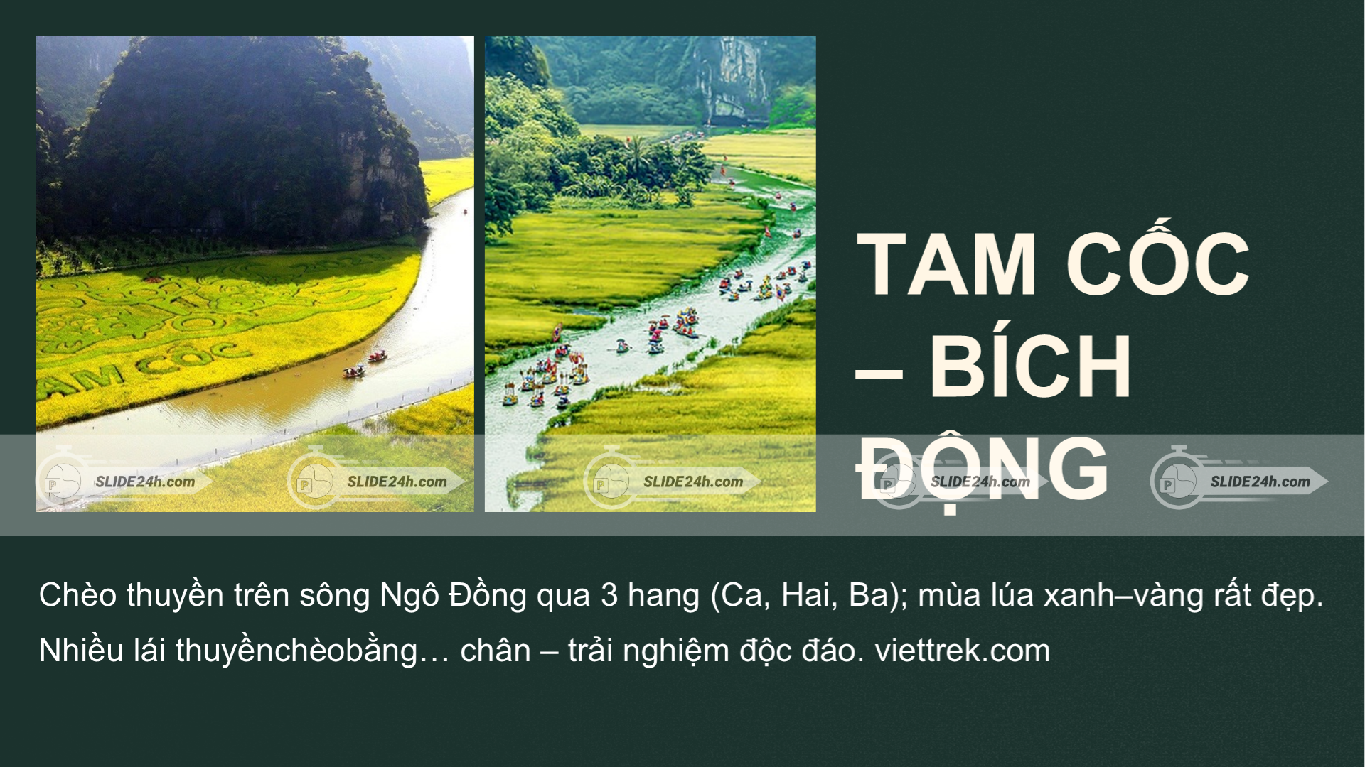 Tam Cốc - Bích Động