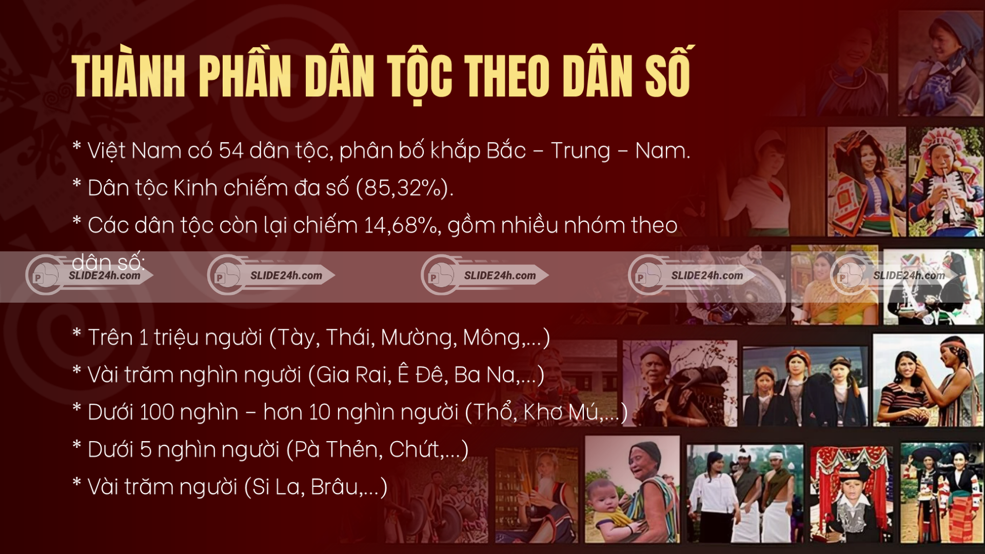 Thành phần dân tộc Việt Nam theo dân số