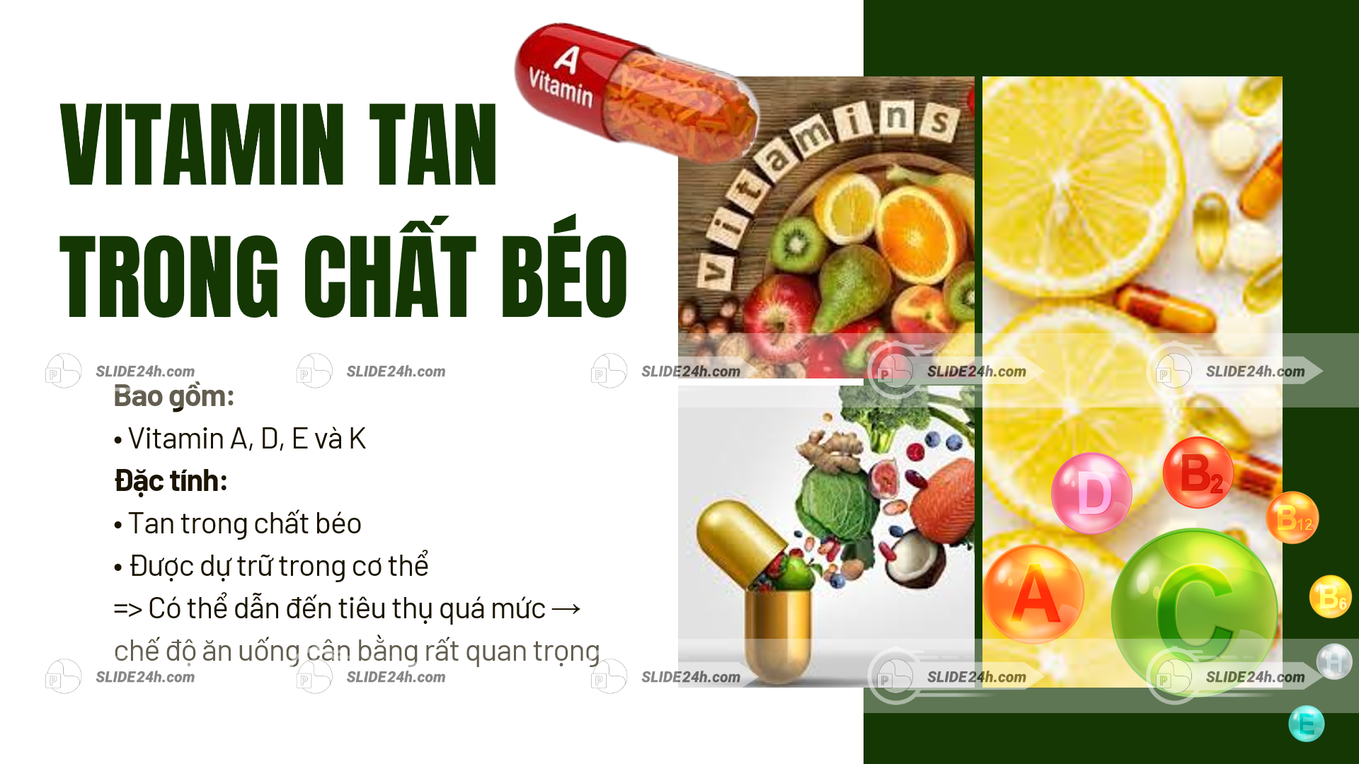Thành phần Vitamin tan trong chất béo và đặc điểm