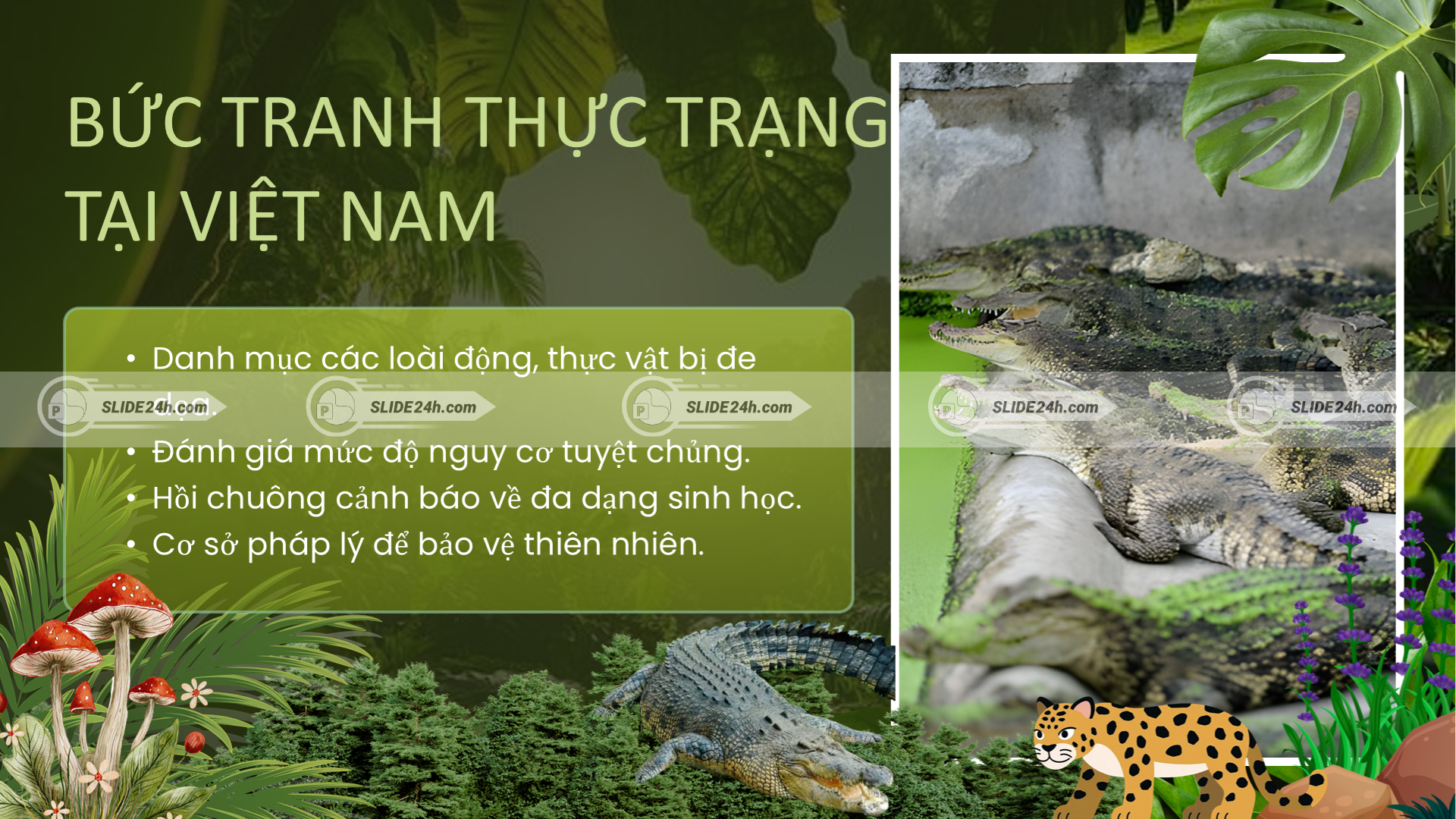 Thực trạng suy giảm động vật quý hiếm tại Việt Nam hiện nay.
