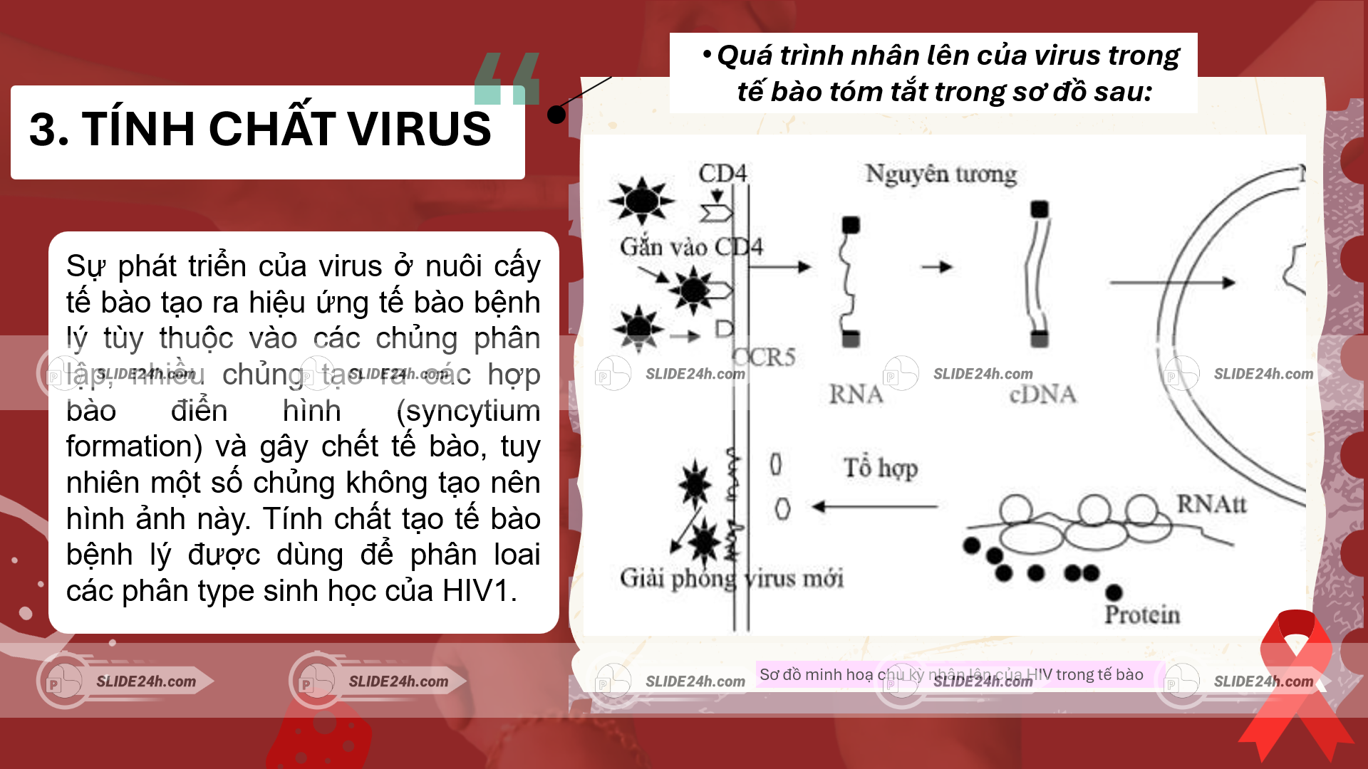 tính chất virus hiv và quá trình nhân lên trong tế bào