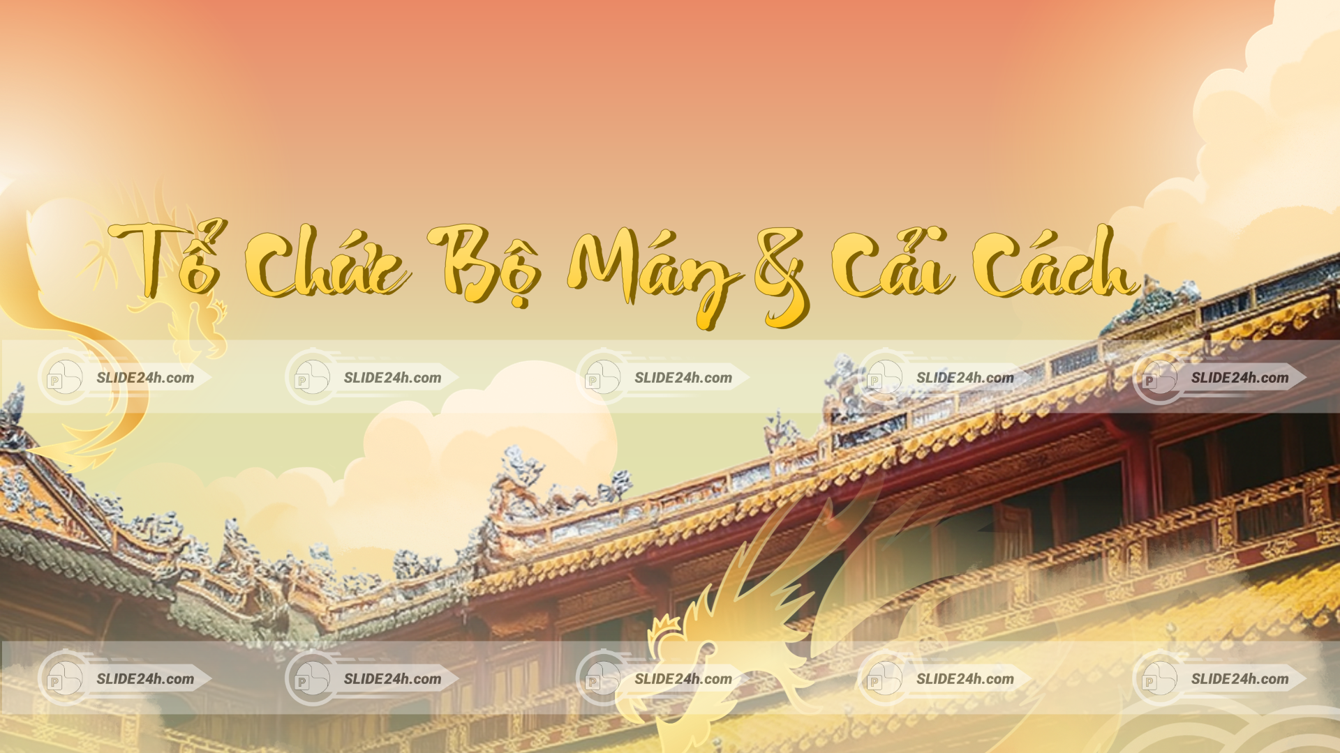 tổ chức và cải cách