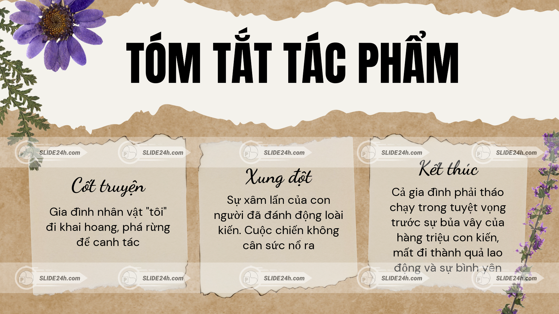 Tóm tắt Kiến và Người qua câu chuyện phản ánh mối quan hệ giữa con người và tự nhiên.