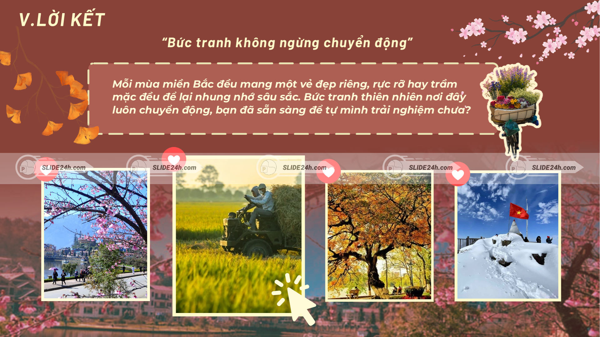 Tổng kết vẻ đẹp của bốn mùa miền Bắc như một bức tranh luôn chuyển động.