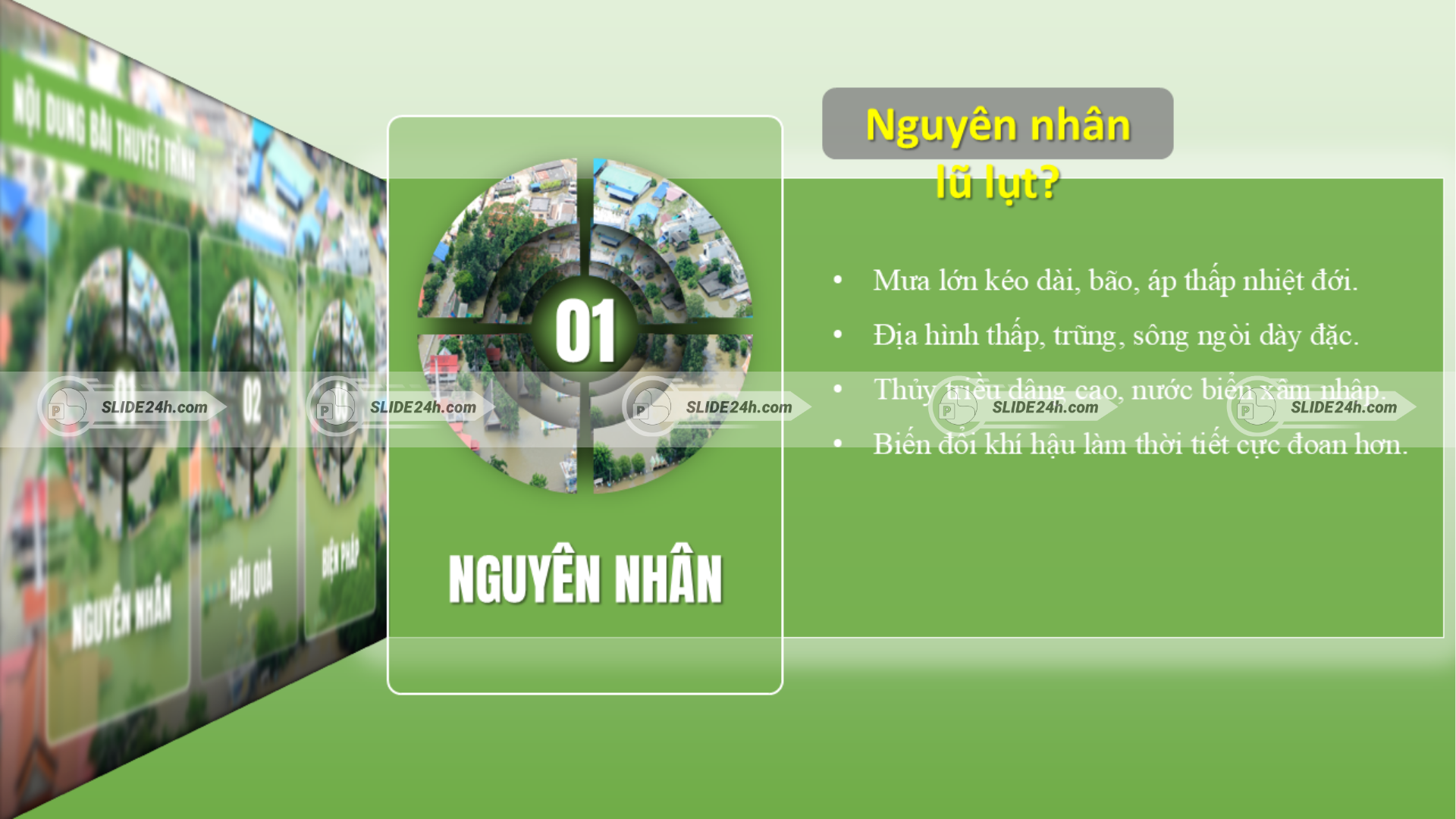 Trình bày các nguyên nhân gây lũ lụt.