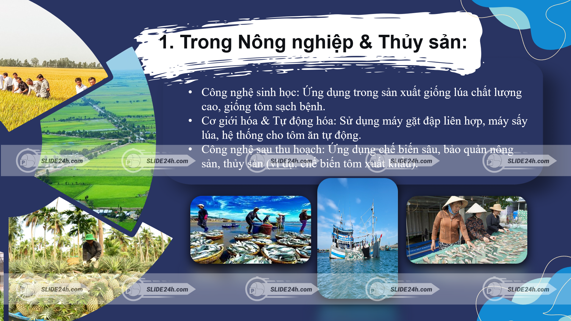 ứng dụng KHCN trong nông nghiệp & thủy sản tại Kiên Giang