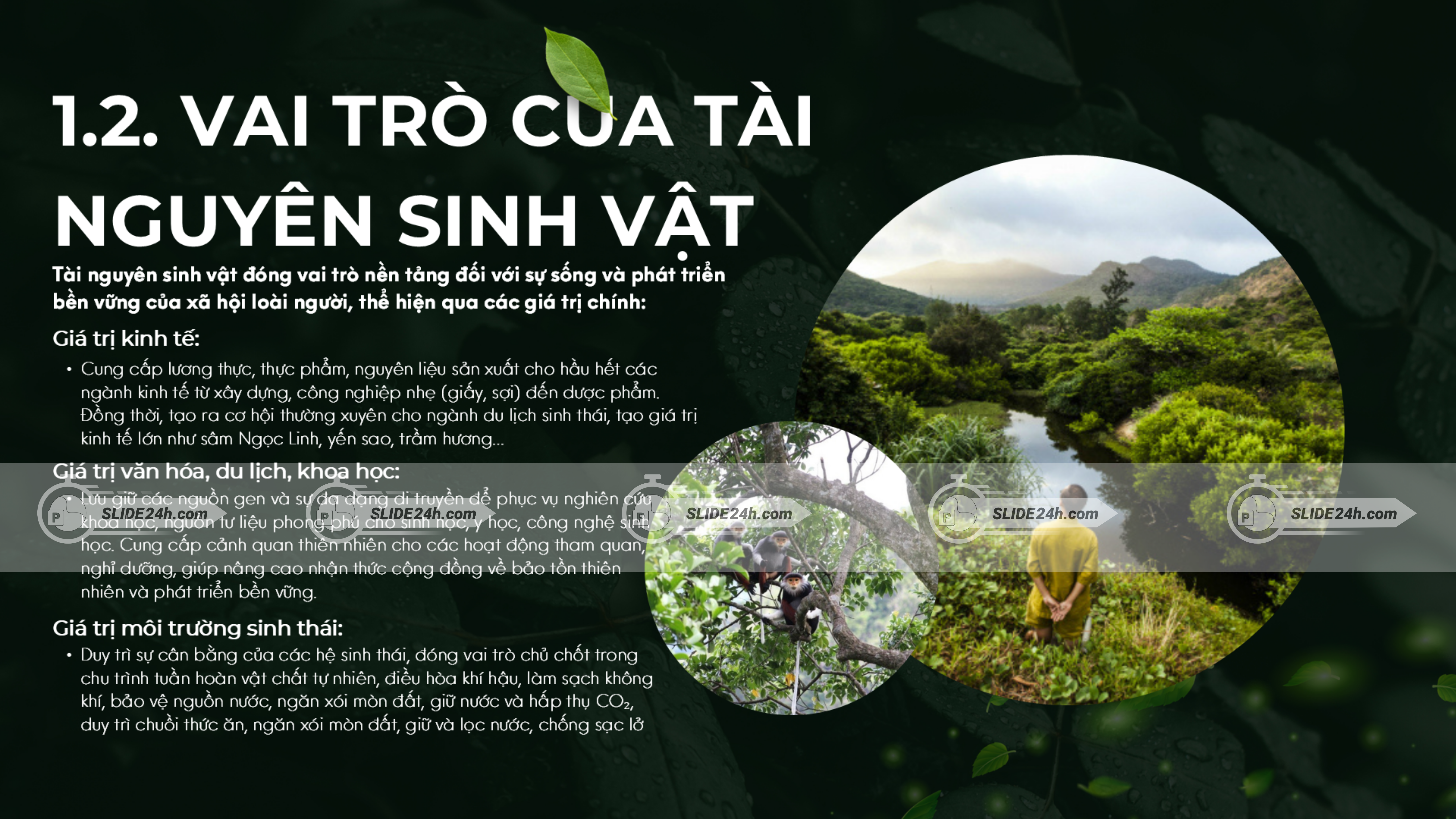 Vai trò của tài nguyên sinh vật trong các lĩnh vực