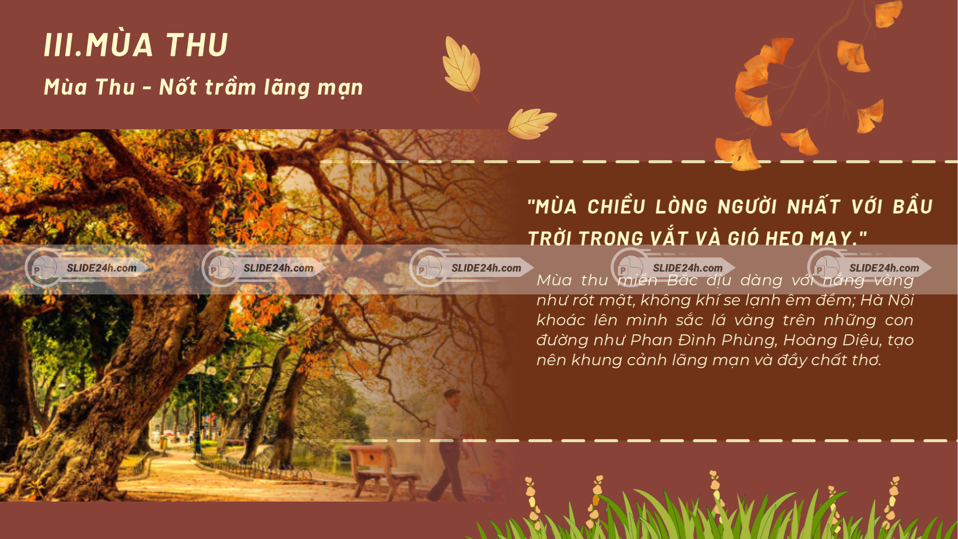 Vẻ đẹp dịu dàng của mùa thu miền Bắc với tiết trời mát lành, lá vàng, hương cốm.