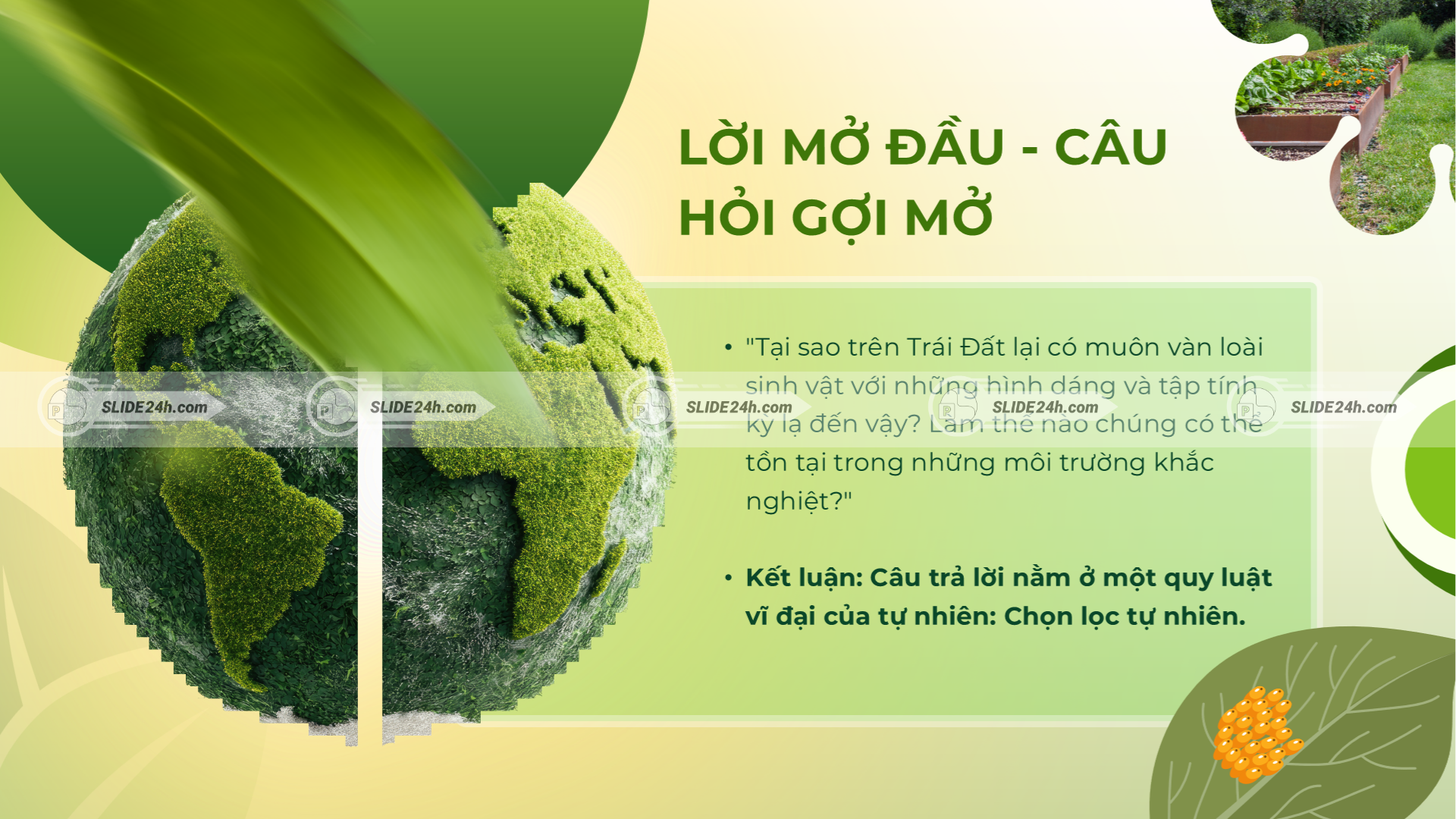Ví dụ mở đầu về chọn lọc tự nhiên qua biến dị giữa các cá thể và hiện tượng côn trùng dần thích nghi với thuốc trừ sâu.