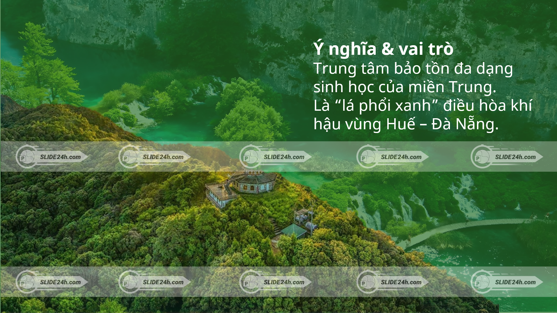 ý nghĩa và vai trò VQG Bạch Mã
