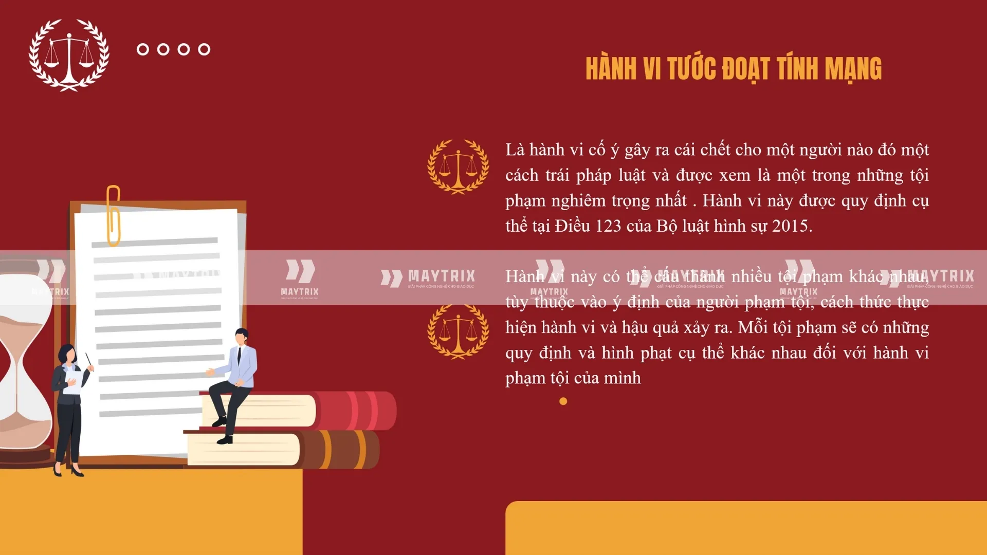 slide-luat-hanh-vi-tuoc-doat-tinh-mang (2)