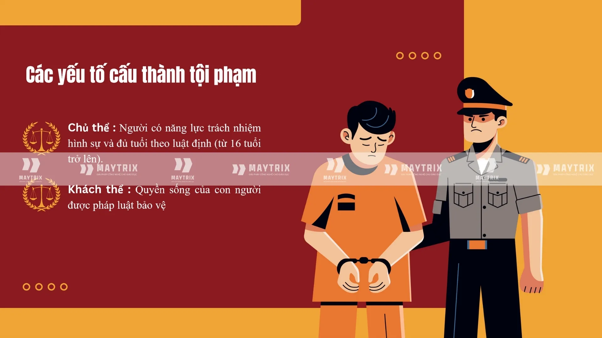 slide-luat-hanh-vi-tuoc-doat-tinh-mang (3)